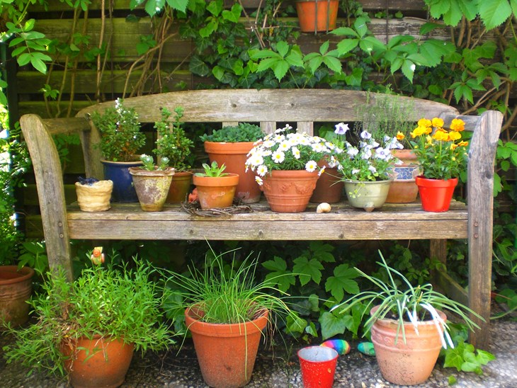 Flower Herb Produce Backyard Garden Flowers 785034 Pxhere.Com