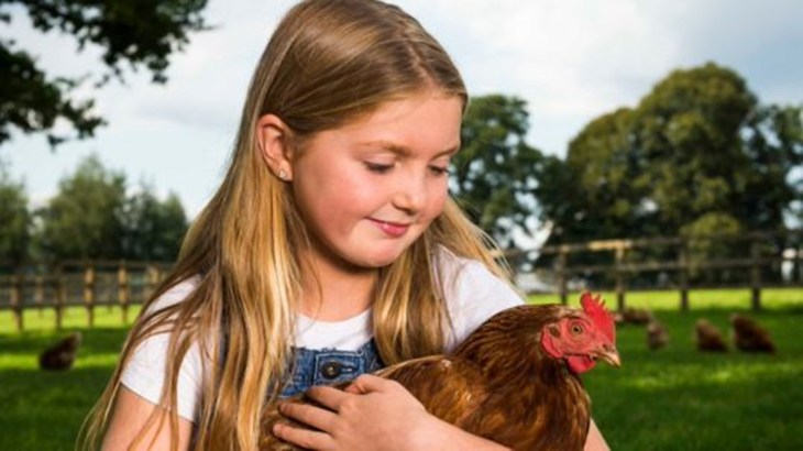 Izzy And Chicken 539X303