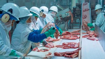Meat Processing Plant