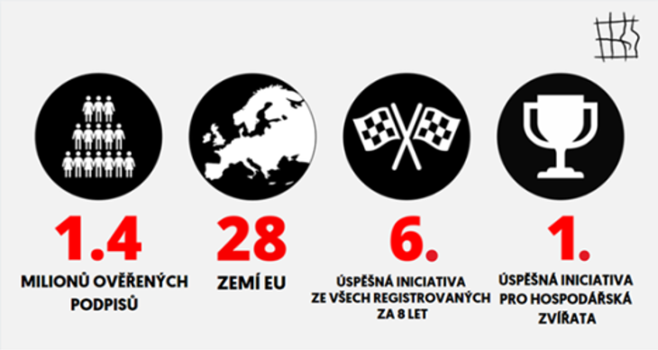 infografika úspěšnosti eoi