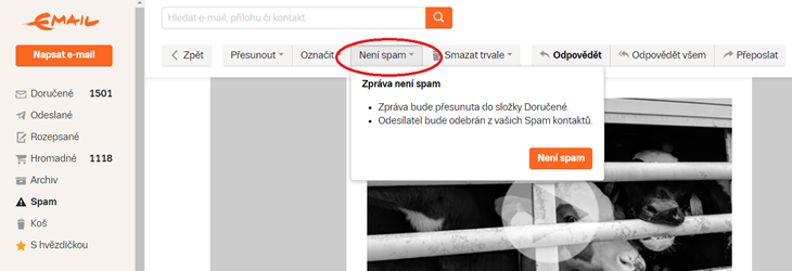 Seznam
