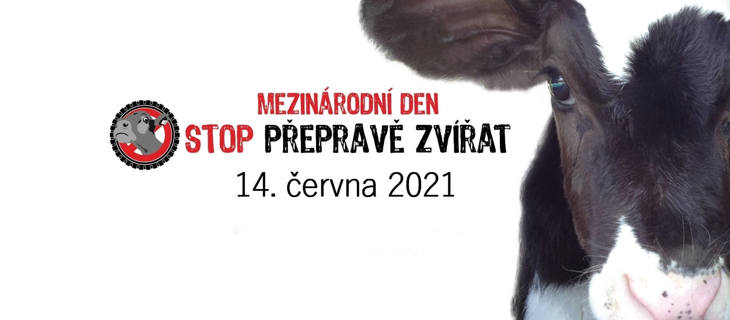Stop Preprave Cerven 2021 (Resize)