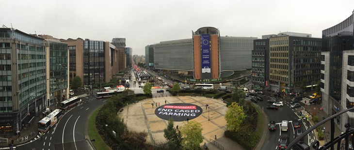 Schuman Square, October 2019
