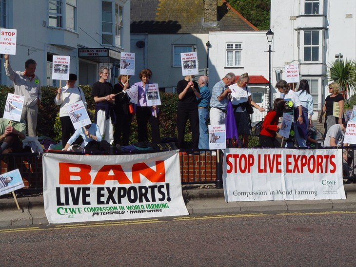 Skupina protestujících s plakáty Ban Live Exports